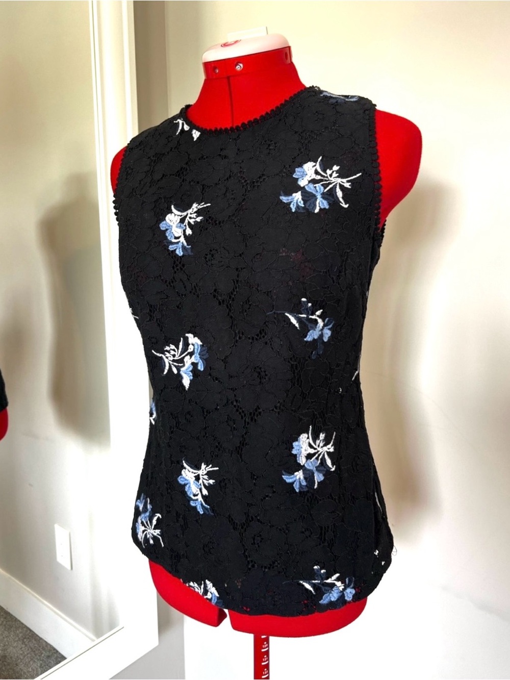 Ann Taylor Black Lace Camisole with Blue & White Floral Embroidery